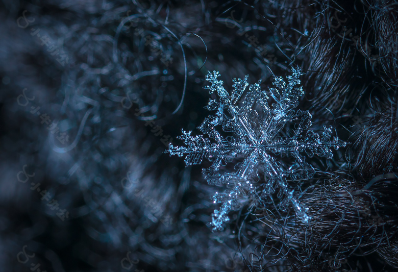 冬季黑色雪花背景图