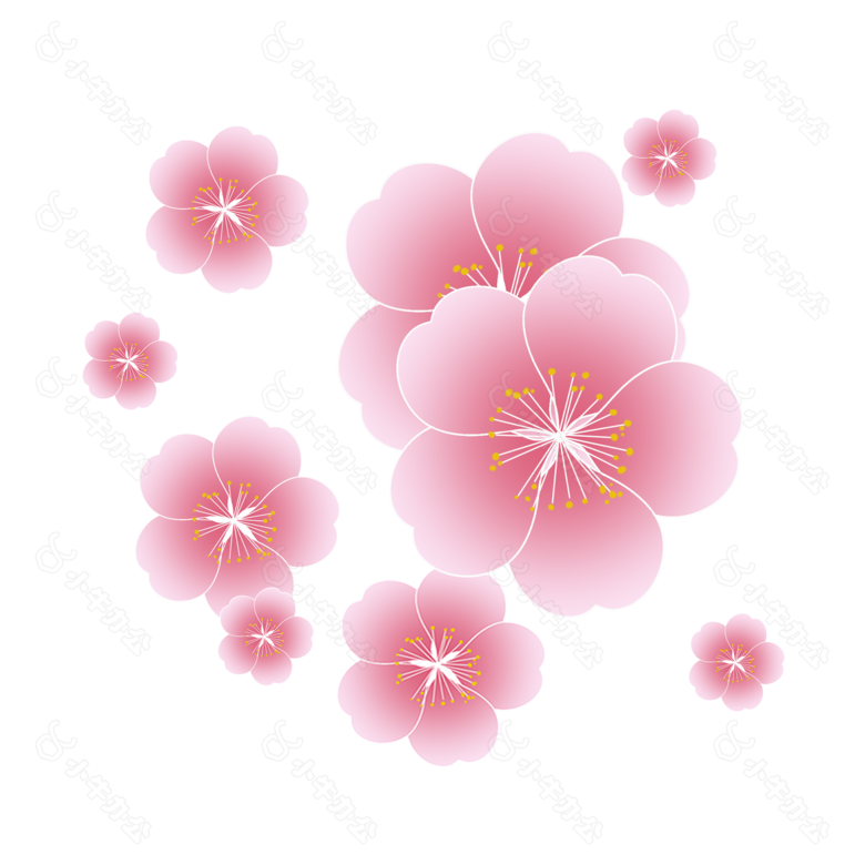 花 png 透明 素材 免扣 元 素