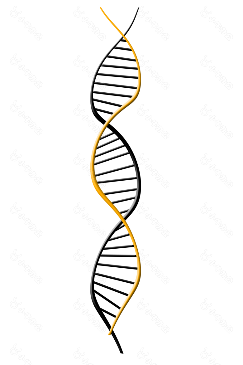 dna,脱氧核糖核酸,dns