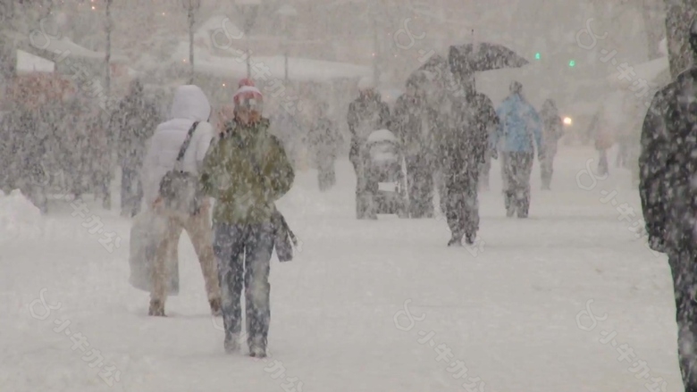 大雪景色高清视频实拍