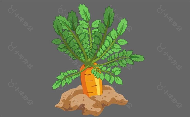 红萝卜植物flash动画