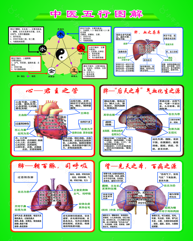 中医文化八卦五行图解挂画设计