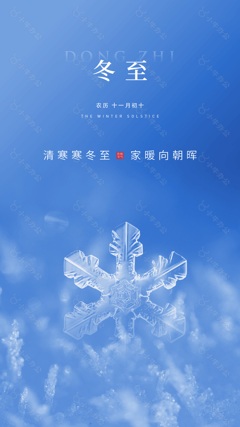 清寒寒冬至雪花元素简约节气海报