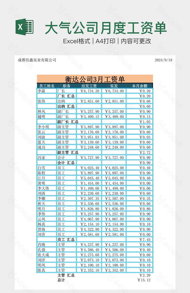 大气公司月度工资单