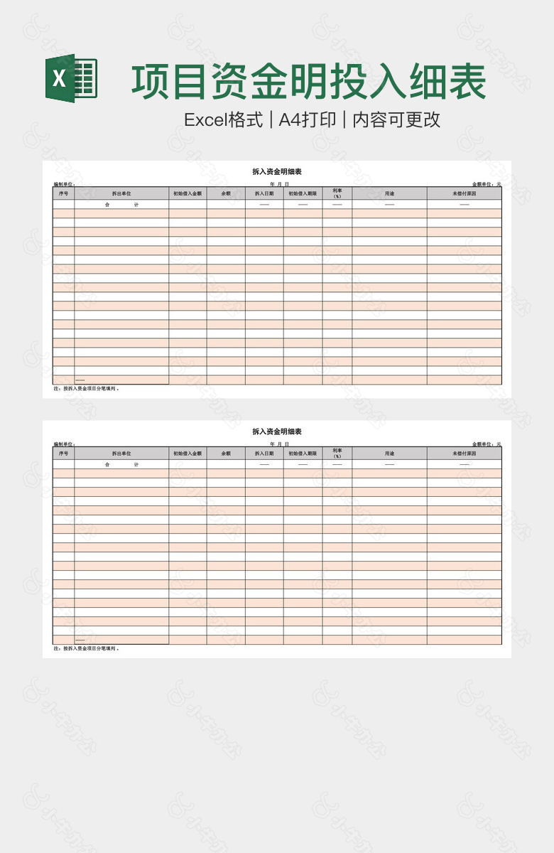 项目资金明投入细表