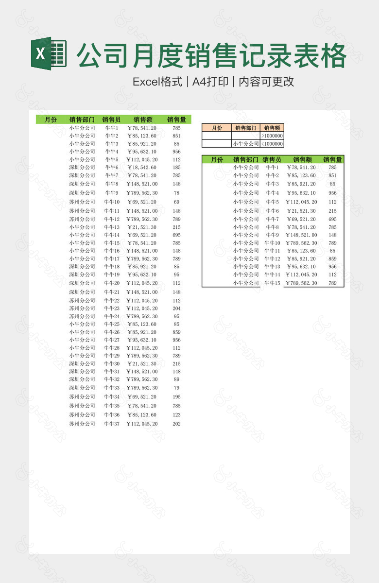 公司月度销售记录表格