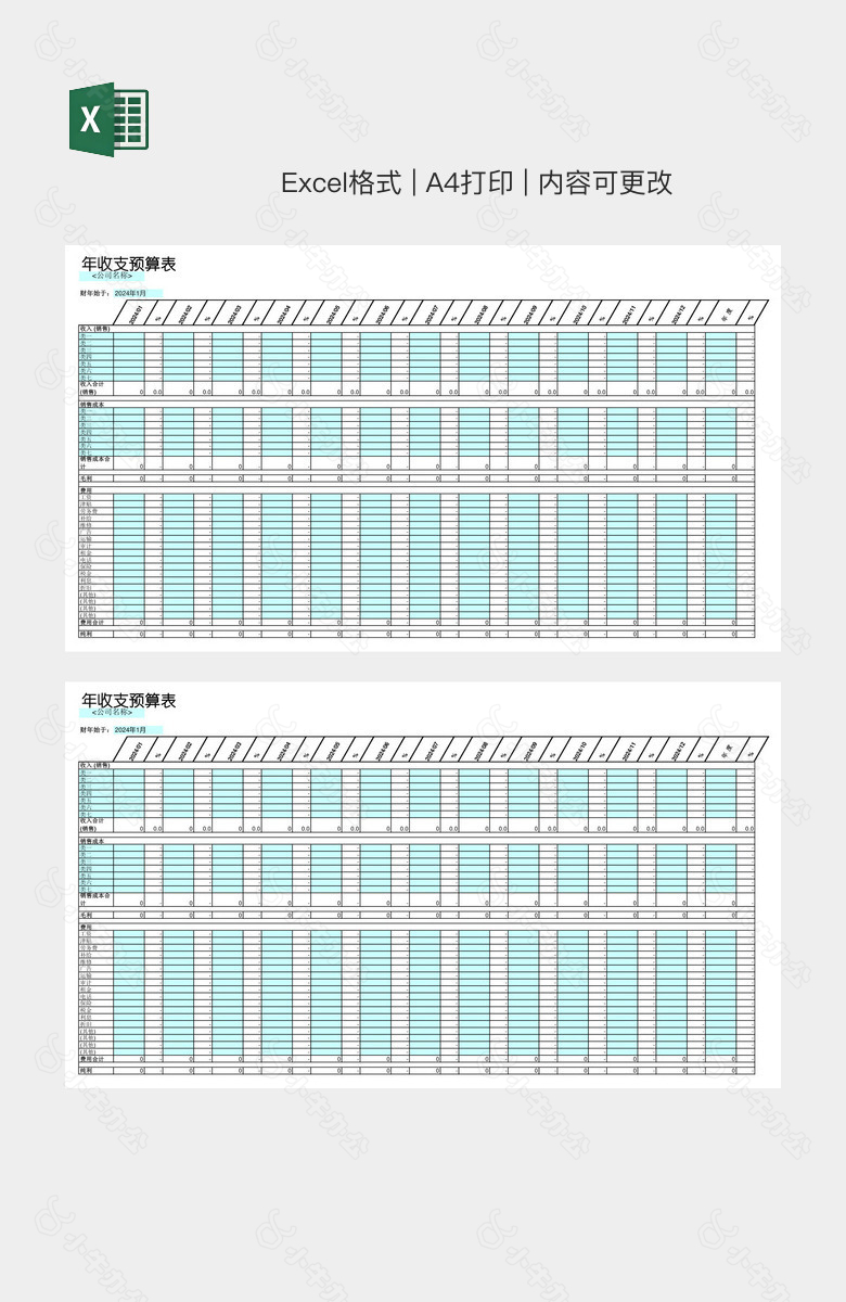 实用年收支预算表