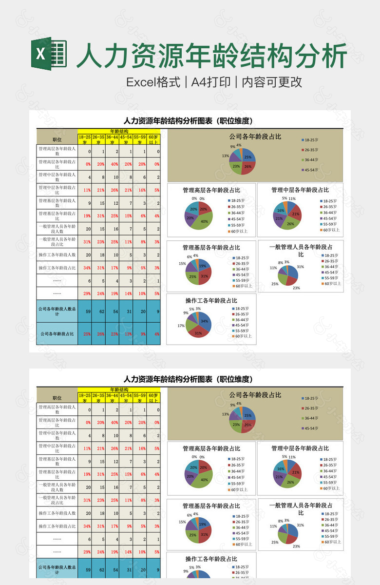 人力资源年龄结构分析图表