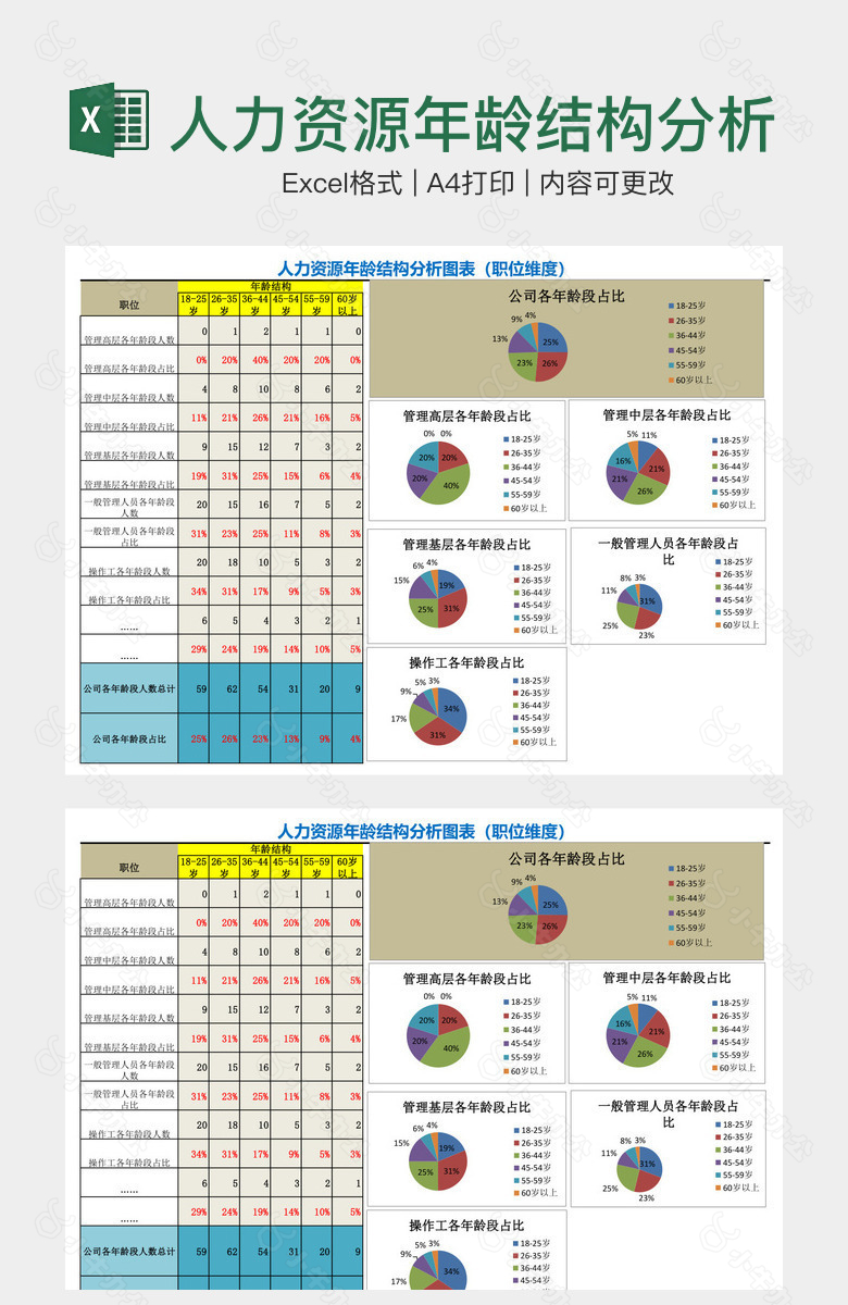 人力资源年龄结构分析图表