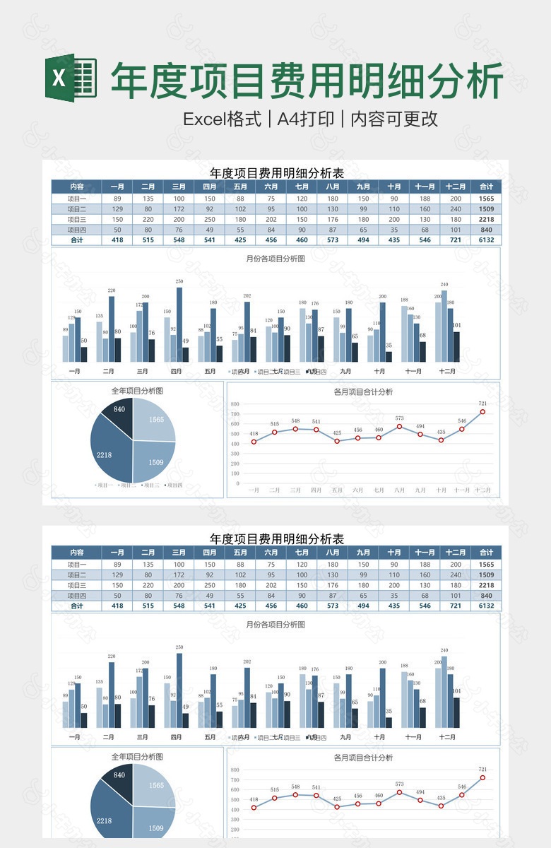 年度项目费用明细分析表