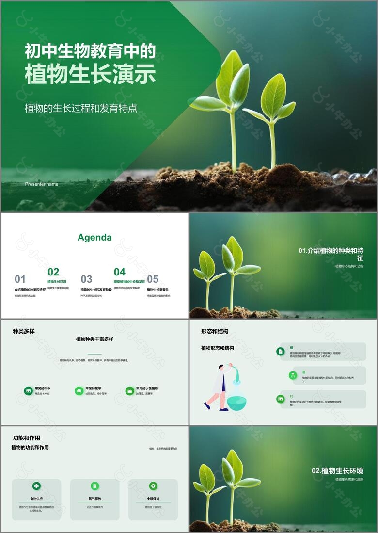 初中生物教育中的植物生长演示