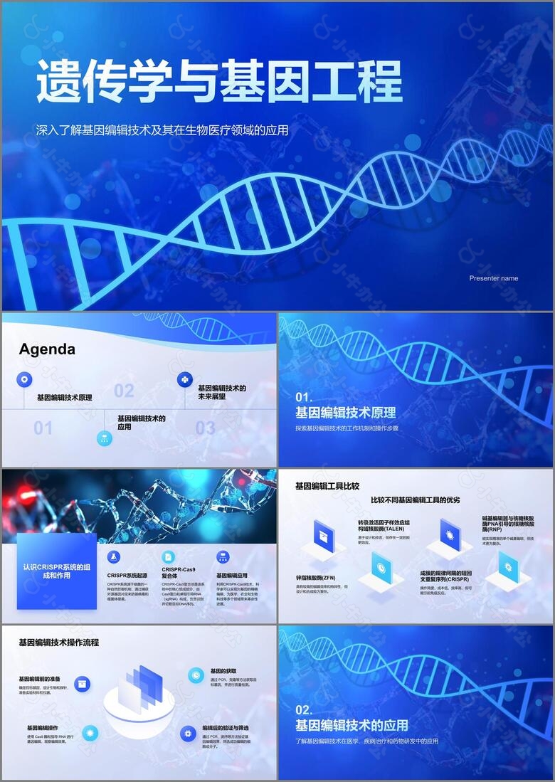 蓝色科技风遗传学与基因工程PPT模板