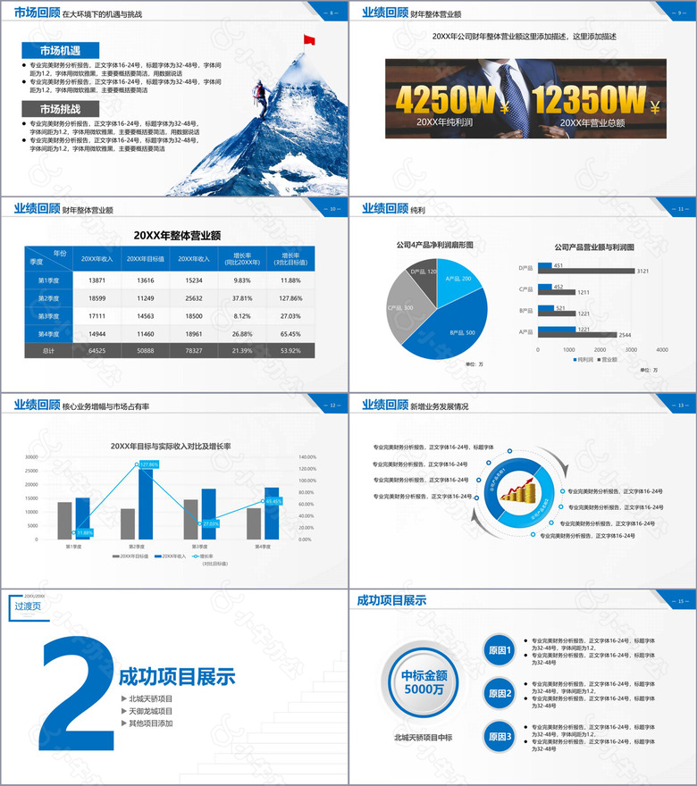 蓝色商务汇报财务分析报告PPT模板no.2