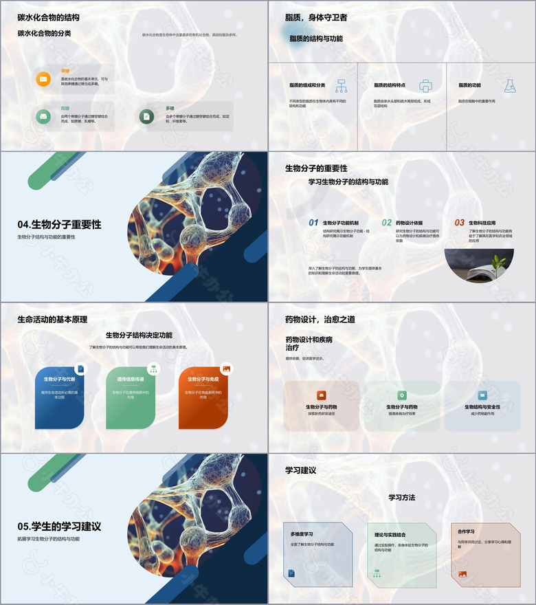 生物分子的结构与功能no.3