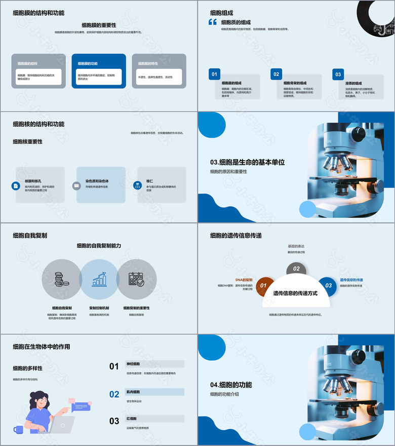 细胞结构与功能no.2