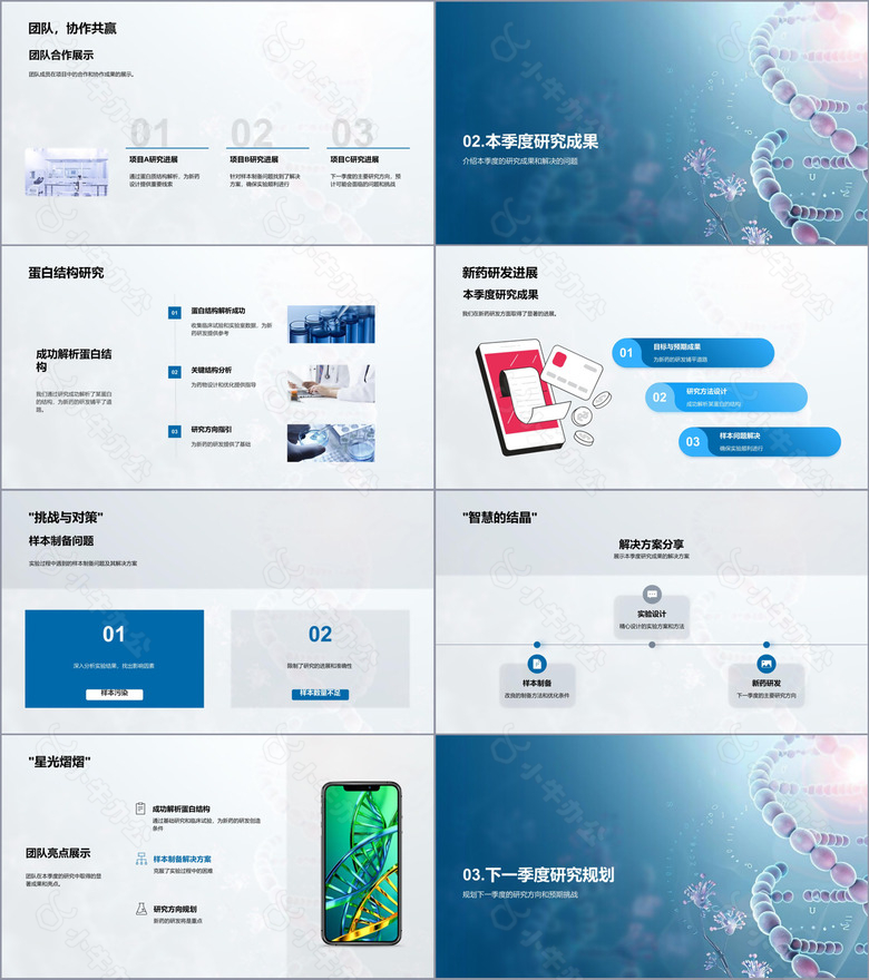 蛋白结构解析no.2