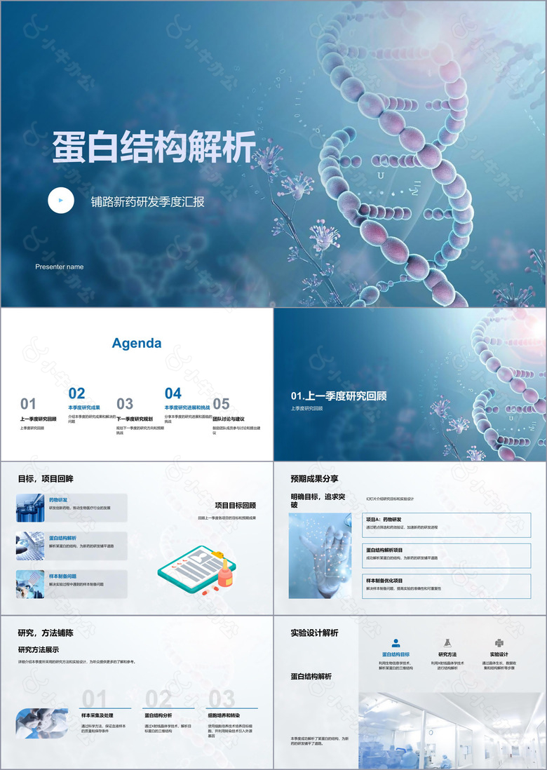 蛋白结构解析