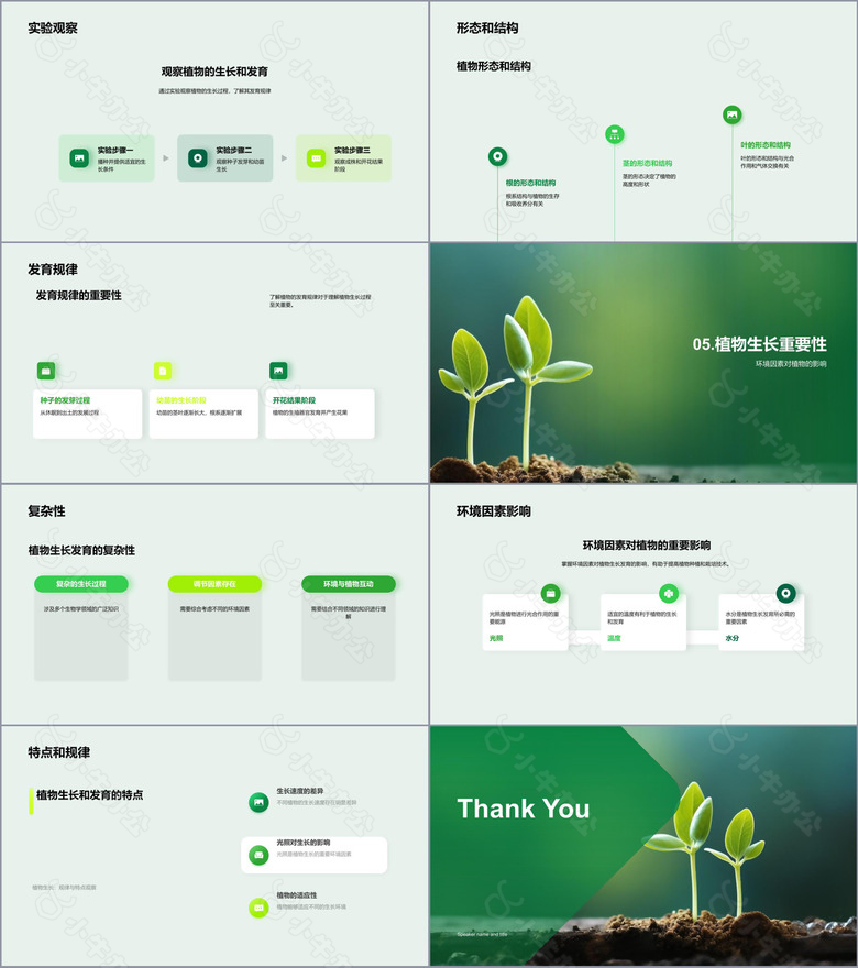 初中生物教育中的植物生长演示no.3