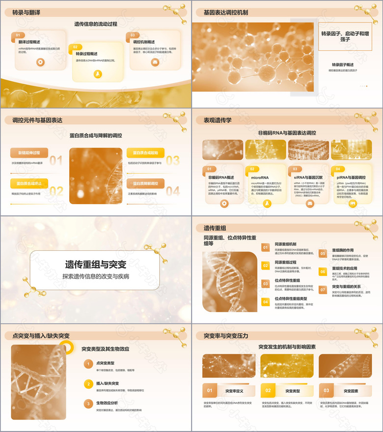 橙色3D风分子生物学PPT模板no.2