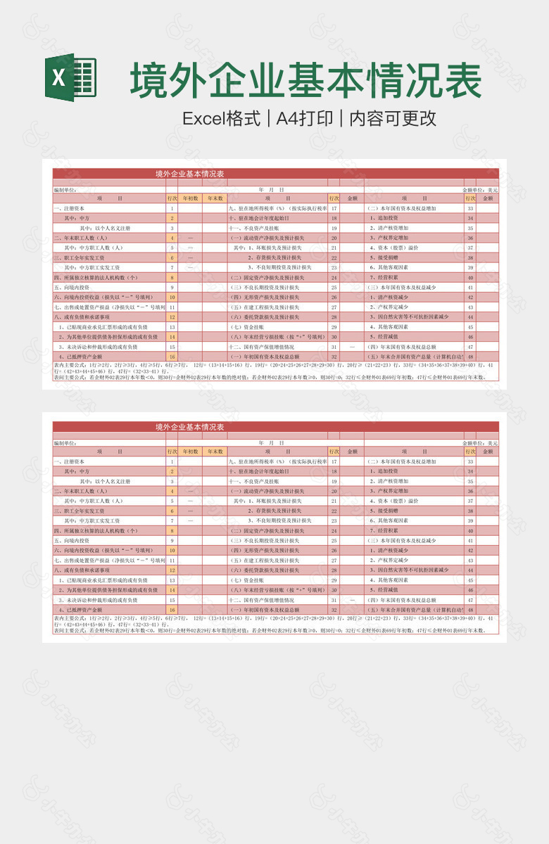 境外企业基本情况表