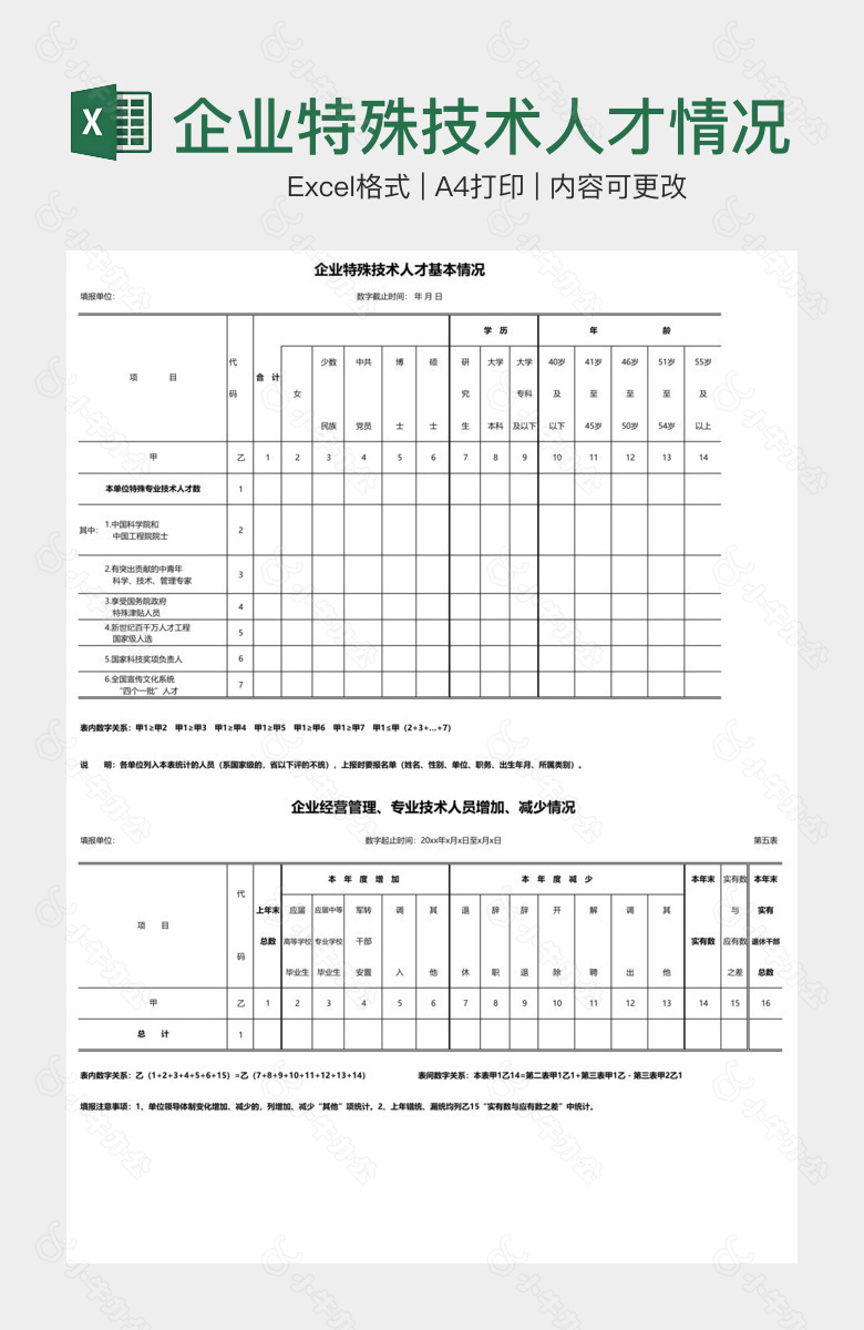 企业特殊技术人才情况表