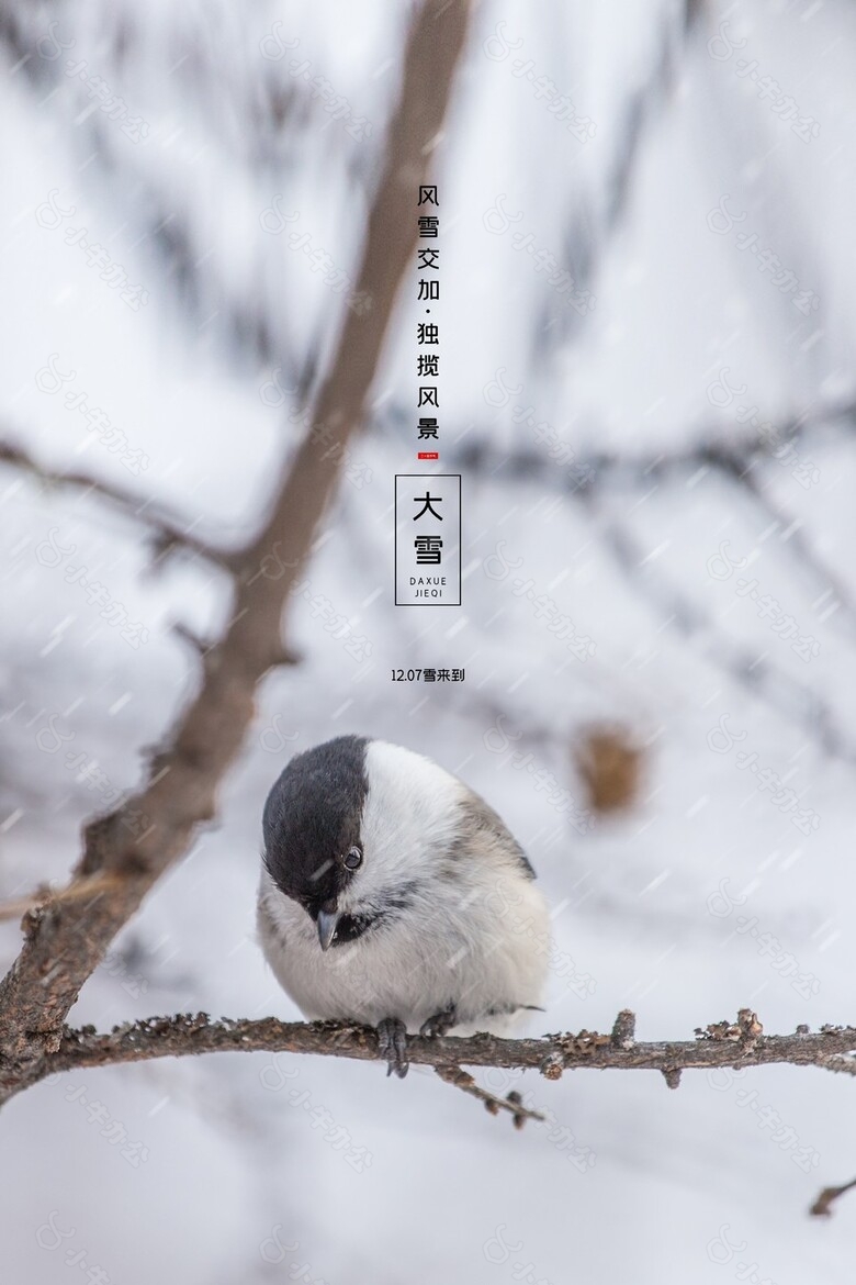 大雪至揽风景质感海报