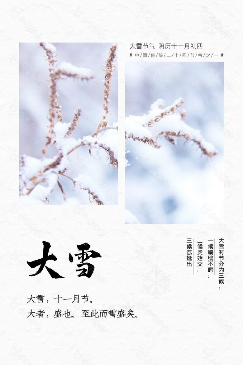 大雪时节创意雪落枝头海报