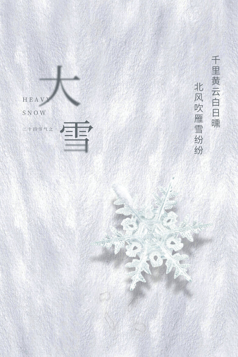 北风吹雁雪纷纷简约质感海报