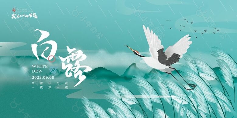 农历白露节气仙鹤芦苇插画背景展板素材