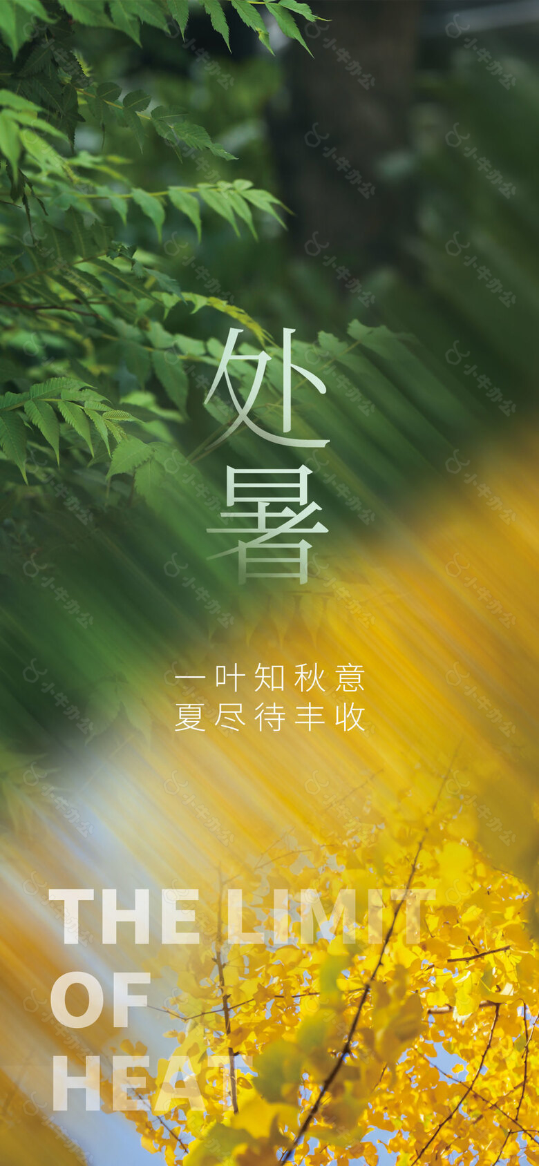 一叶知秋意夏尽待丰收处暑时节创意海报