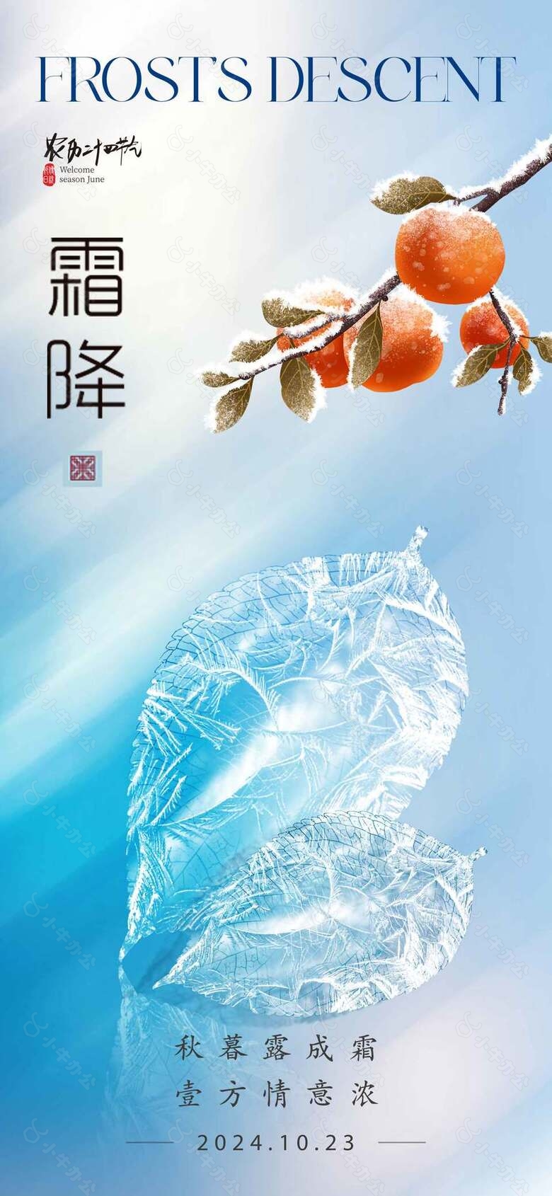 静谧清雅简约传统霜降节气海报