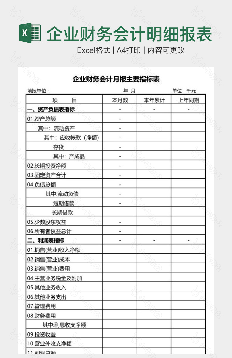 企业财务会计明细报表