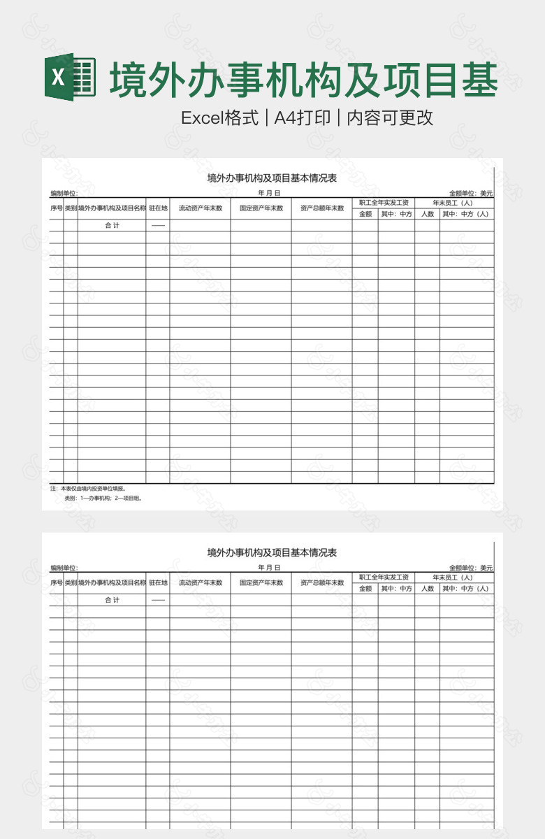 境外办事机构及项目基本情况