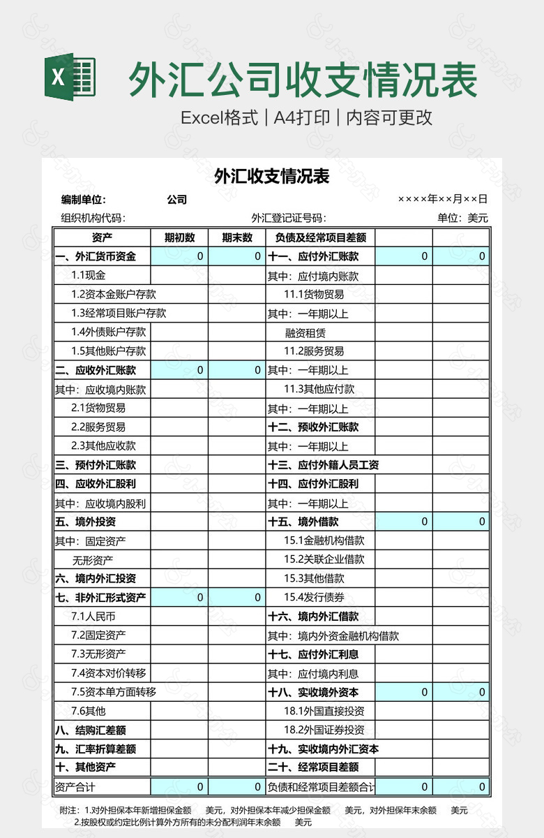 外汇公司收支情况表