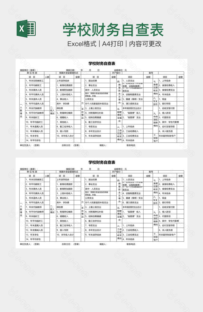 学校财务自查表