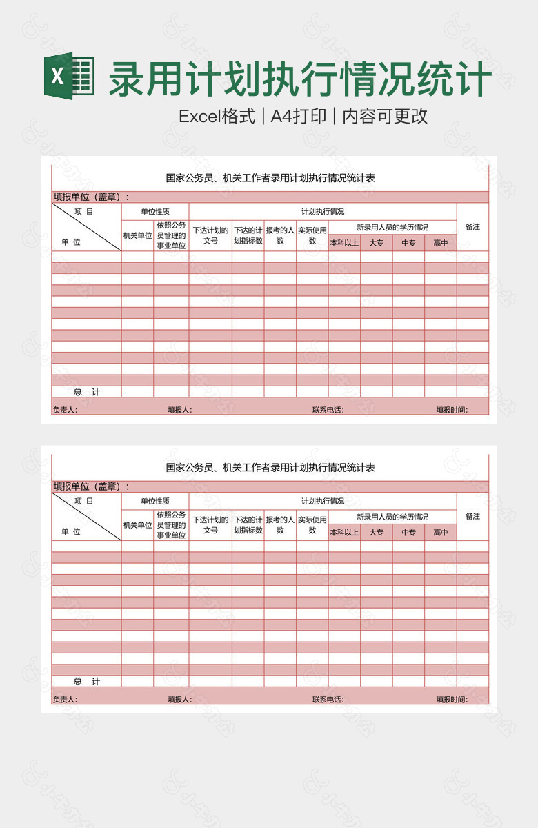 录用计划执行情况统计表