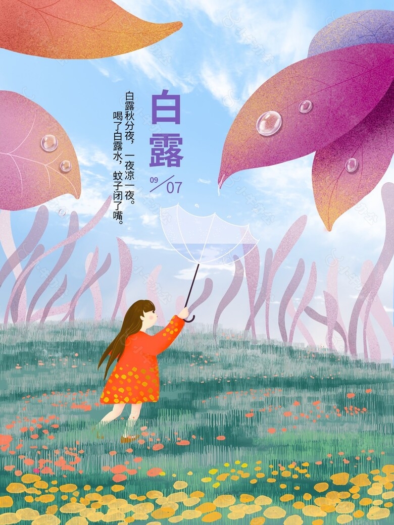 白露节气女孩插画创意海报