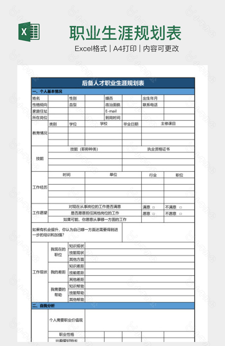 职业生涯规划表