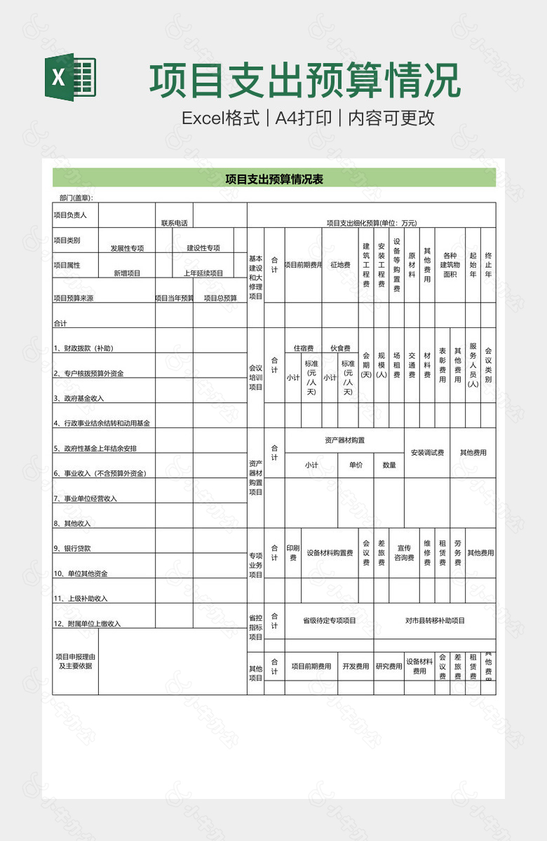 项目支出预算情况