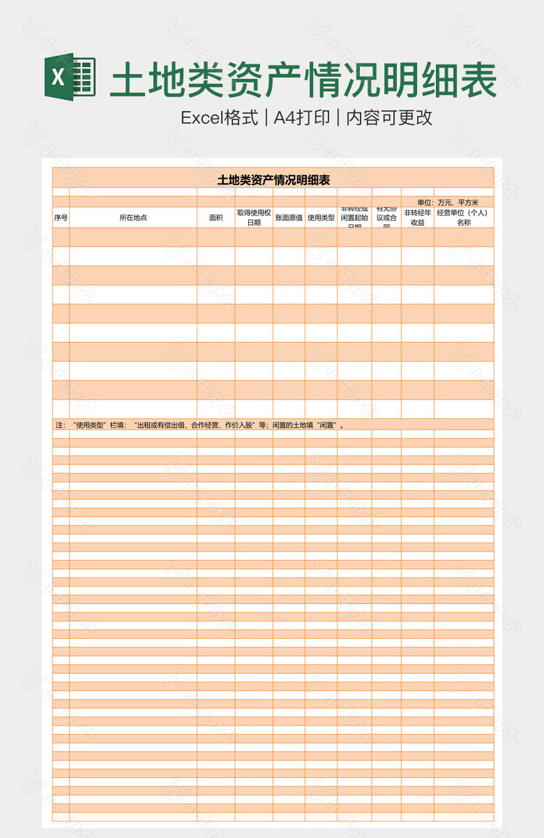 土地类资产情况明细表