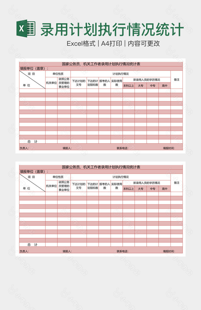 录用计划执行情况统计表