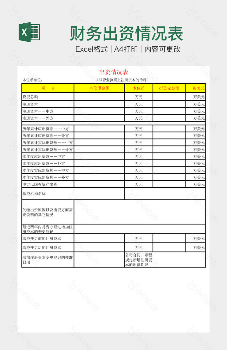 财务出资情况表