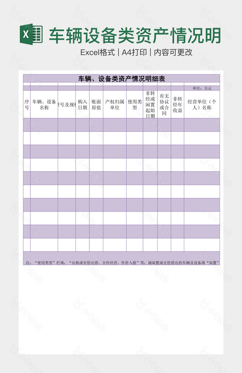 车辆设备类资产情况明细表