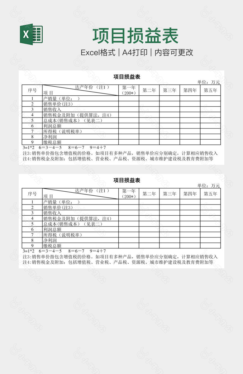 项目损益表