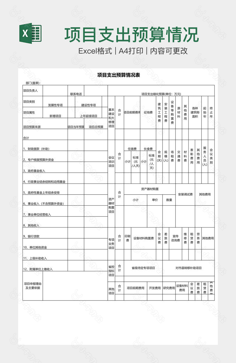 项目支出预算情况