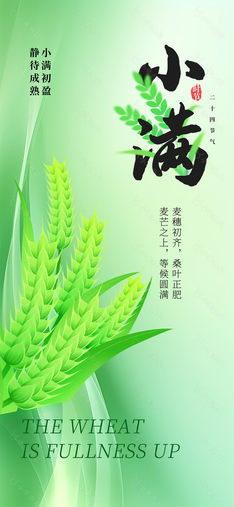 麦芒之上等候圆满传统小满时节海报