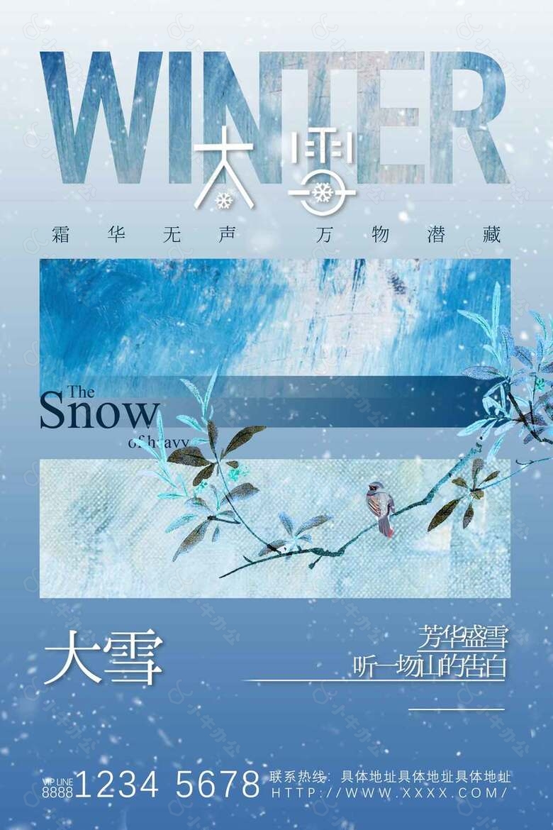 芳华盛雪诗意唯美农历大雪节气宣传海报