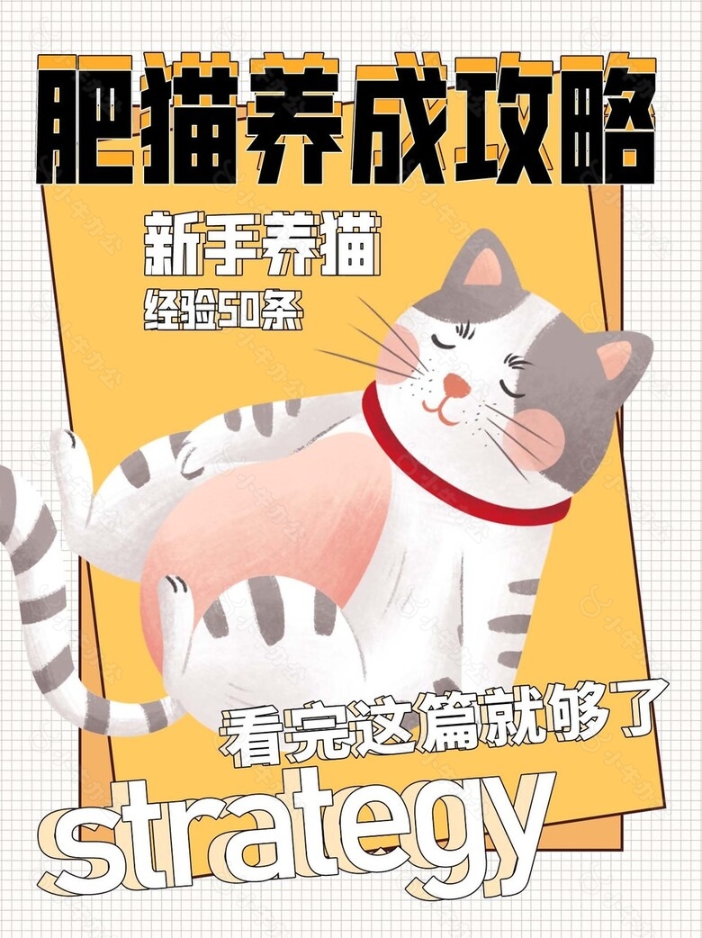 创意卡通风新手养猫文案封面设计