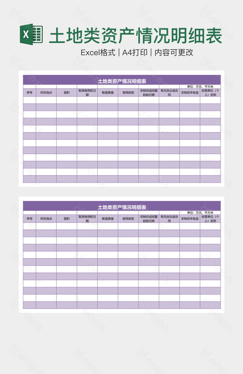 土地类资产情况明细表