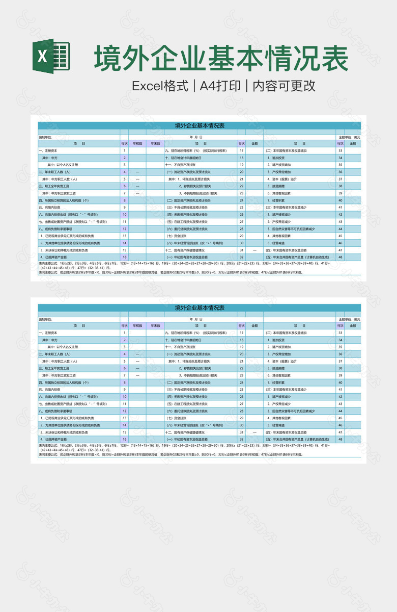 境外企业基本情况表